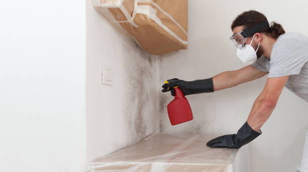 Professional Bathroom Mold Removal technician working in Catharpin, VA