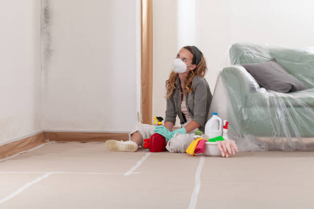 Reliable Bathroom Mold Removal contractor in Catharpin, VA by 24 Hour Mold Removal